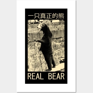 Chinese Real Bear Posters and Art